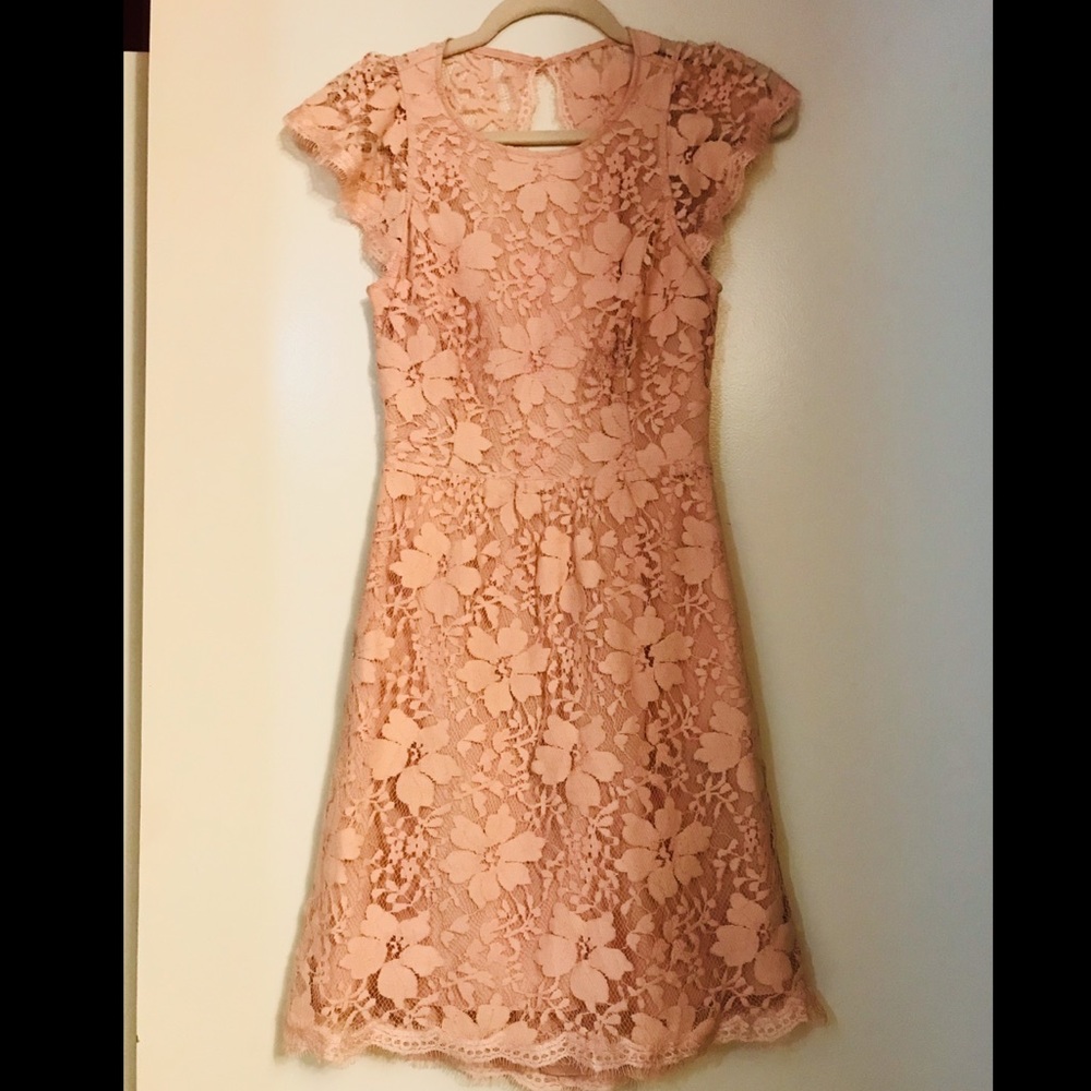 BCBG blush lace dress